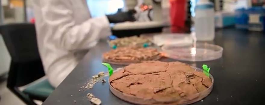 Лабораторный анализ грунта